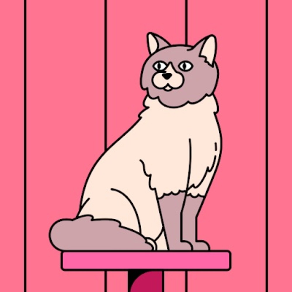 Meet your Posher, Ariel